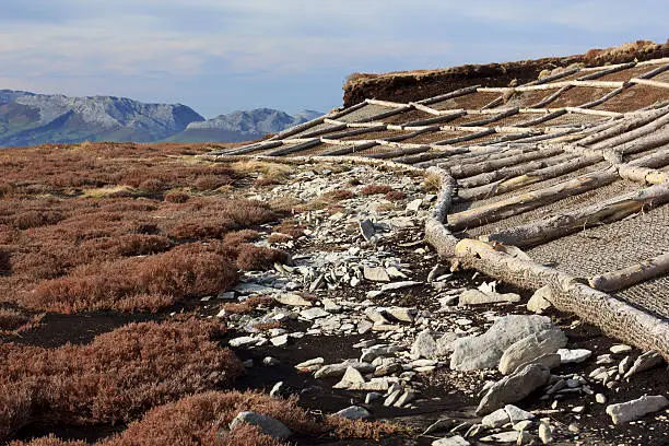 Peatbog in Zalama mountain, Basque Country