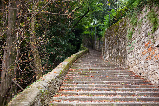 istock Old Staircase in the grove, Bergamo 521293389