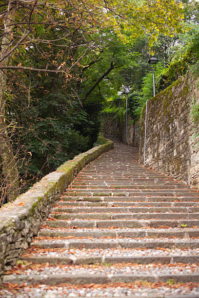 istock Old Staircase in the grove, Bergamo 521293401