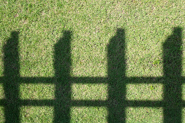 istock Shadow of fence on the grass. 521297546