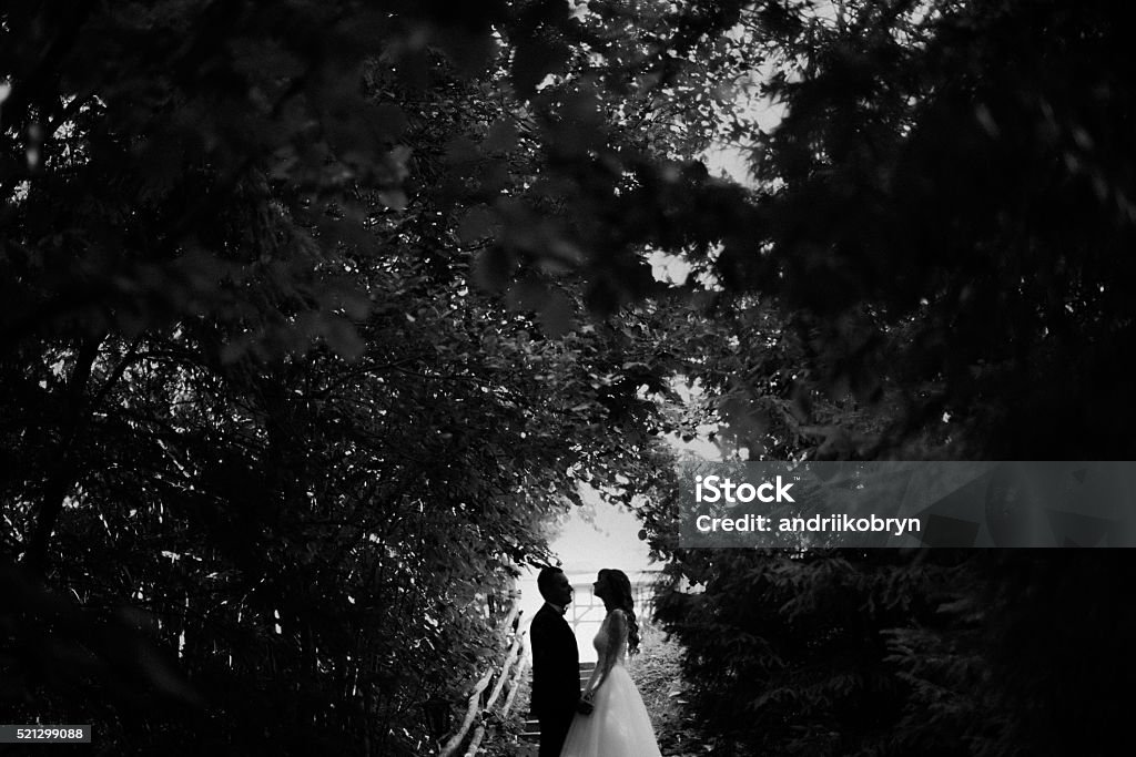 Black and white photo of young married couple standing in Black and white photo of young married couple standing face to face in the forest and holding hands. Black And White Stock Photo