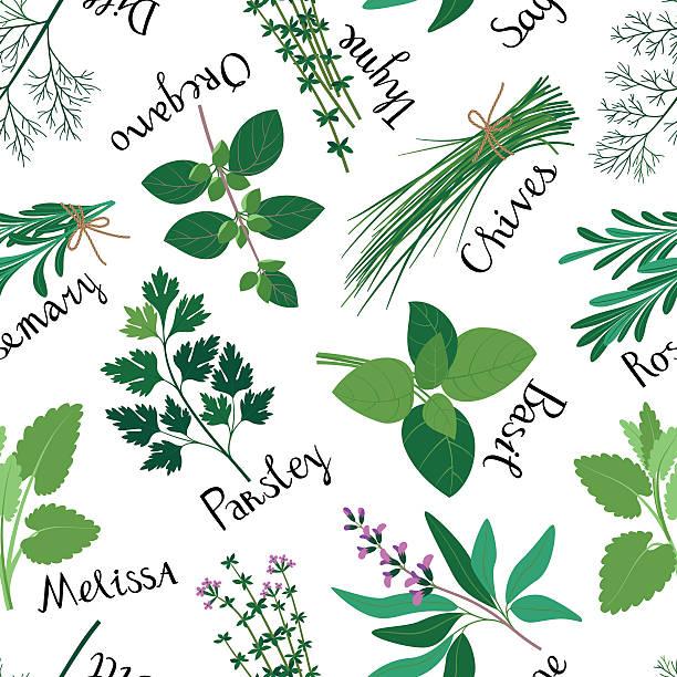 stockillustraties, clipart, cartoons en iconen met seamless pattern fresh herbs. - bieslook illustraties
