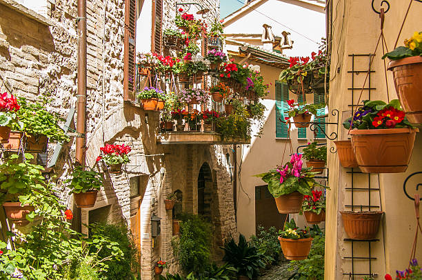 Violets in the background of the ancient village of Spello in Umbria