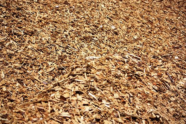 обёрточная целлюлозная mulch - sawdust shavings wood chip pine стоковые фото и изображения