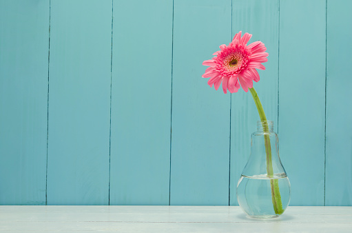 Pink Gerbera daisy flower in bulb glass vase on white and wooden background