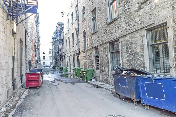 istock Small narrow street with garbage bins 521308944