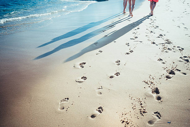 istock footprints and shadows of people walking at sunset tropic beach 521309596