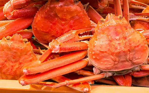 Photo of Crabs in Kanazawa, Japan