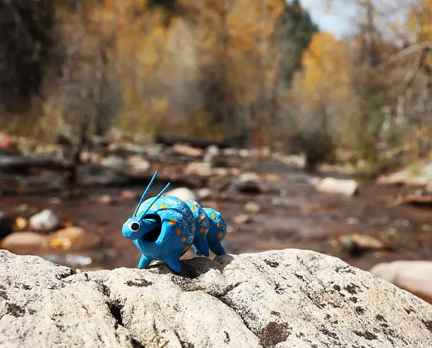 Bobble head toy caterpillar near a creek at the base of the CO trail in Durango.   The painted wooden toy sits on a rock, with flowing water and yellow fall leaves behind.  The blue insect toy is painted with yellow dots.