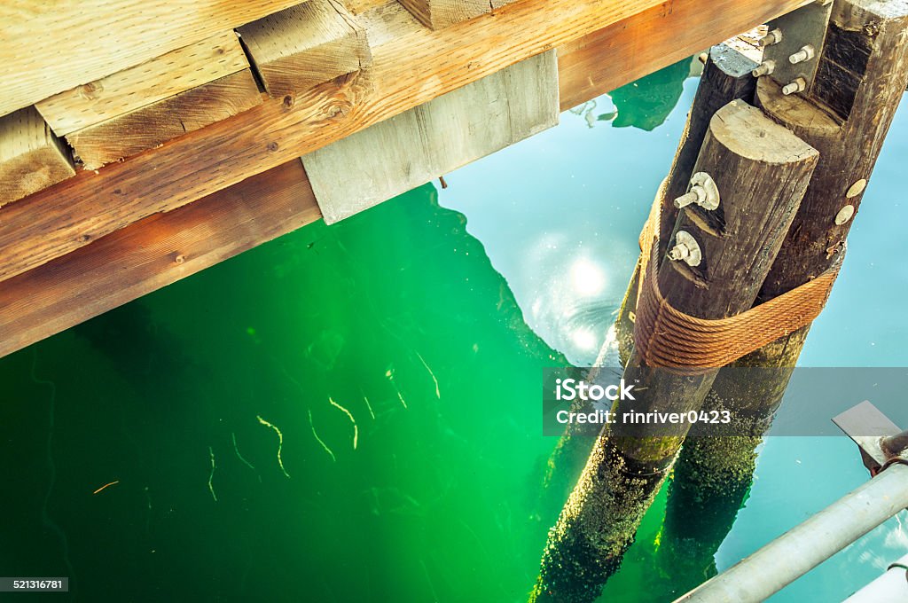 seattle timber-piled wharf and water surface with sun reflection It was taken at Seattle wharf with piled timber. The green water surface with at-noon sun reflection. Horizontal Stock Photo