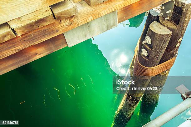 Seattle Timberpiled Wharf And Water Surface With Sun Reflection Stock Photo - Download Image Now