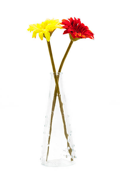 istock Beautiful gerbera in vase isolated on white 521317499