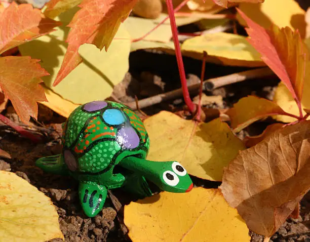 Mexican bobble head toy set in autumn leaves.  The small green toy turtle is painted with a pattern of dots and circles.  The close up photograph shows clearly the Mexican toy and the details of the yellow and orange leaves. 