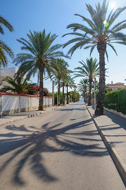 istock Quiet sunny street with ocean view in Cabo Roig, Spain 521318617