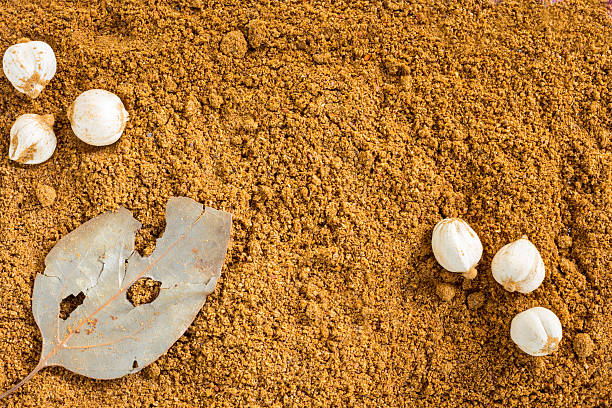Mussaman curry, dry herb powder, for background.