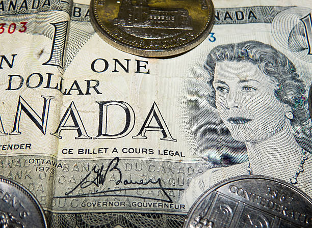 old coins - endollarsmynt kanadensiskt mynt bildbanksfoton och bilder