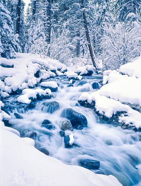 Photo of Winter In Emerald Bay State Park Lake Tahoe, California