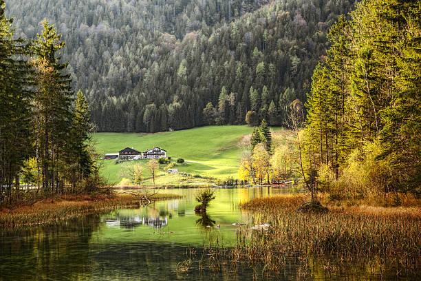 Autumn Scenic - Lake Reflections in Bavaria Germany The mystical Hintersee Lake surrounded by the "Zauberwald" (Enchanted Forest) in Germany's Bavarian Alps.  bavarian forest stock pictures, royalty-free photos & images