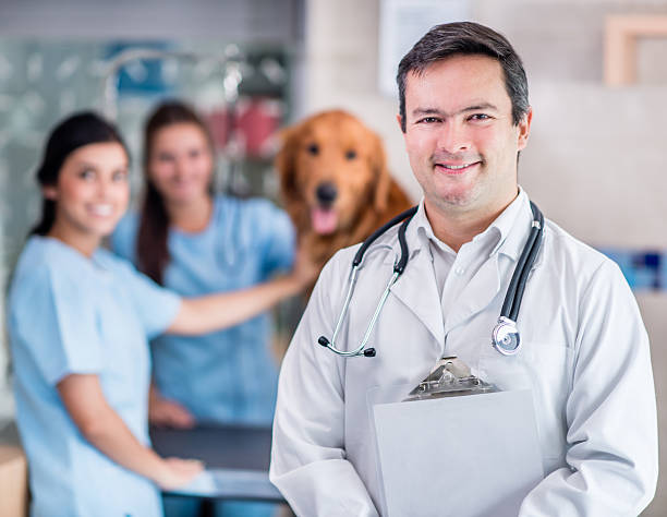 istock Doctor at the vet 521341103