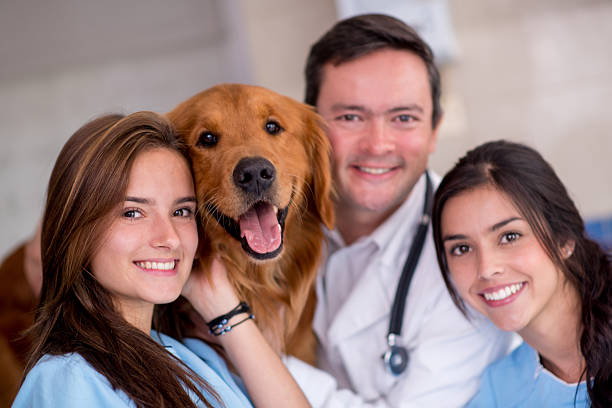 istock Dog at the vet 521341835