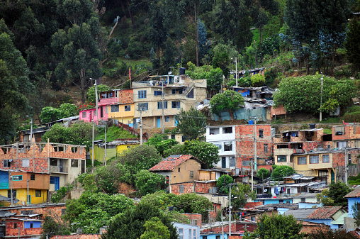 Bogotá, Colombia: hill side slum on the limits of the forest - photo by M.Torres