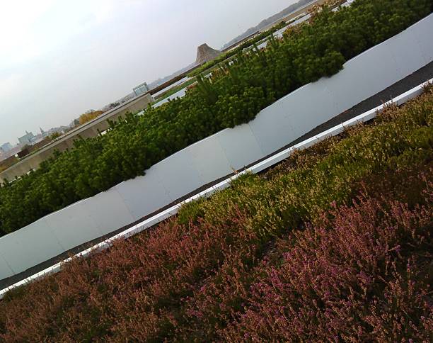 istock Roof garden in Warsaw 521344975