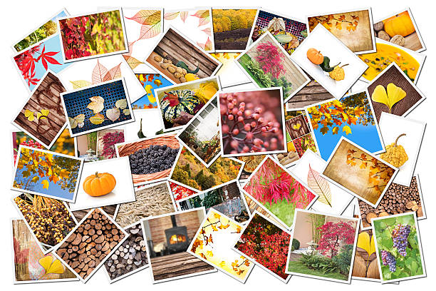 istock Stack of autumnal photos isolated on white background 521346187