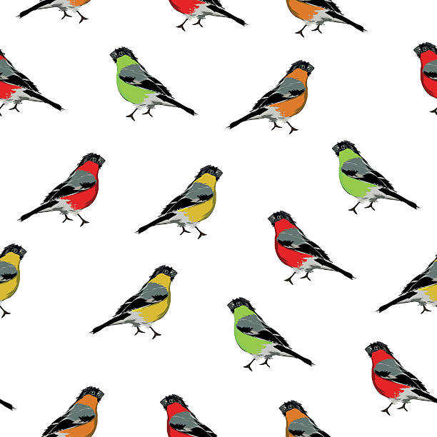 bezszwowe wektor wzór kolorowe ptaki - spring birdsong bird seamless stock illustrations