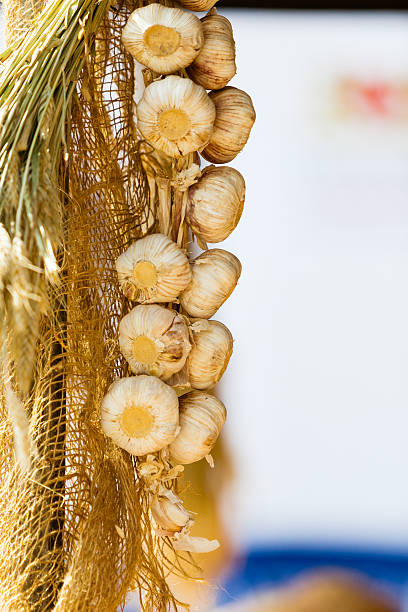 cadeia de flor de alho ao ar livre. alimentos saudáveis. - garlic hanging string vegetable imagens e fotografias de stock