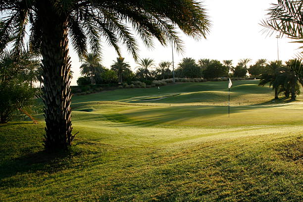 palmier de parcours de golf de dubaï - golf nobody flag dew photos et images de collection