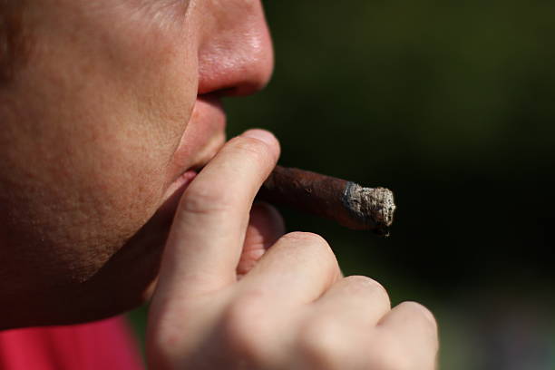 Cigarettes in the ashtray, macro shot