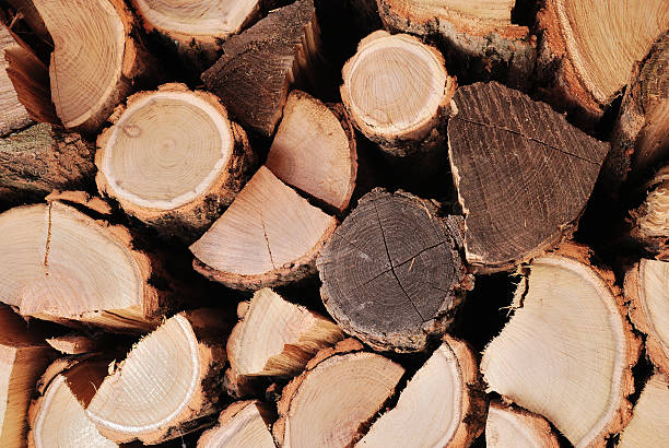 Fuelwood Fuelwood fuelwood stock pictures, royalty-free photos & images