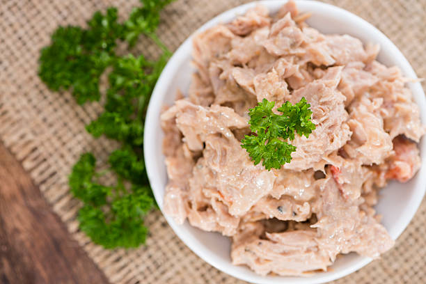 istock Homemade Tuna Salad 521364809