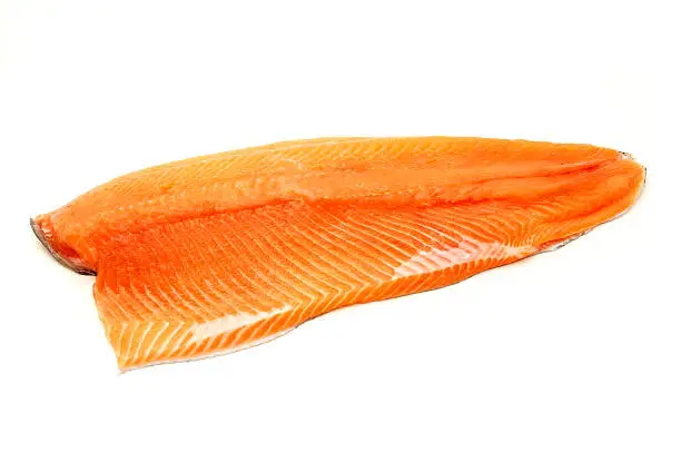 Photo of Rainbow trout fillet