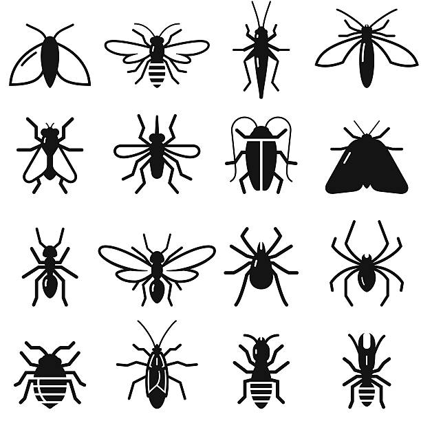 Insects And Bugs - Black Series Insects and bugs symbols. Vector icons for video, mobile apps, Web sites and print projects.  bugs stock illustrations