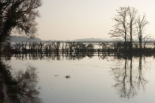 devastadoras belleza del paisaje, inundado snape, suffolk - suffolk winter england fog fotografías e imágenes de stock