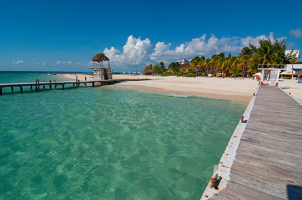 istock View of Caribbean Beach from a Dock in Sparkling Water 521369177