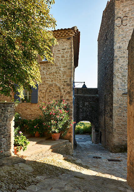 istock Street in Grambois, Provence 521370795