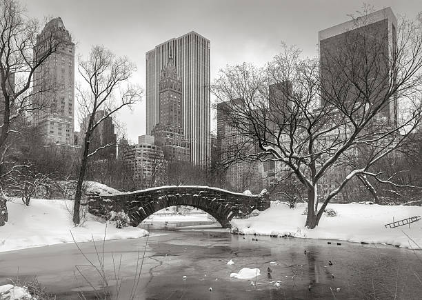 istock Winter scene in Manhattan 521371501