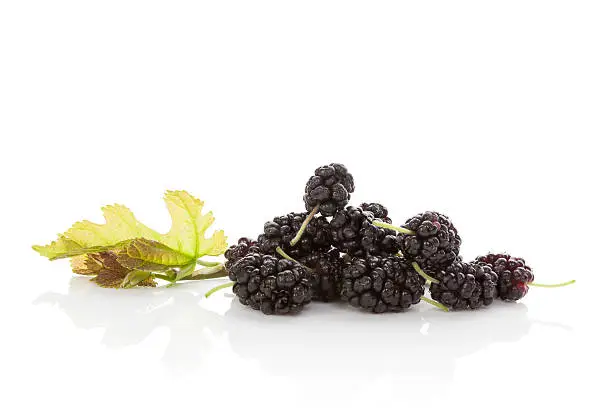 Photo of Mulberry fruit.