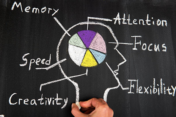 istock Concept of six ability in human brain 521375860