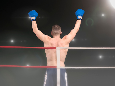 Male boxing champion in blue shorts standing in the ring under floodligths raising hands after victory, back view