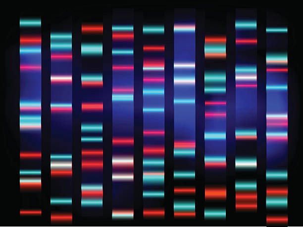 colourful medical dna results with black background colourful medical dna results with black background eps 10 illustration dna nucleotide stock illustrations