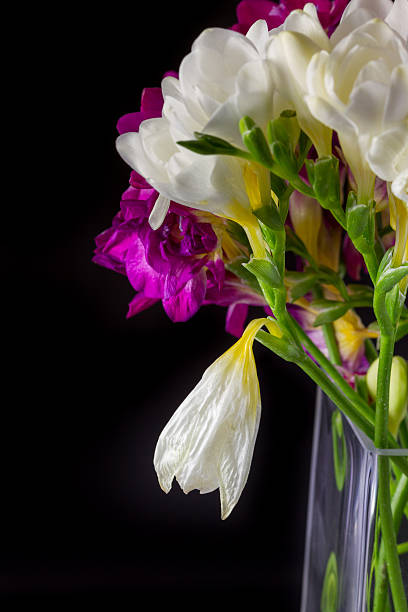 istock Lily flower bouquet in vase on black background 521379648