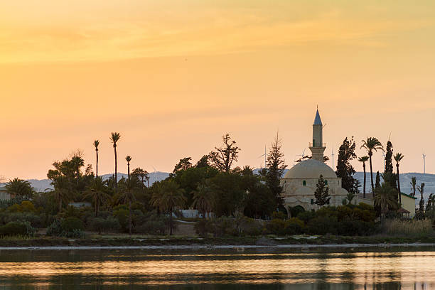 istock Hala Sultan Tekke on Larnaca salt lake in Cyprus 521381132