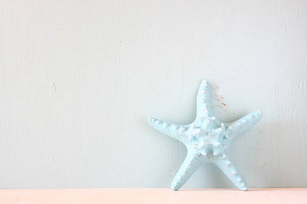 istock starfish over wooden textured background. 521381332