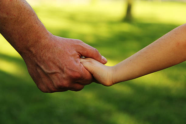 padre sostiene little girl de la mano - holding hands human hand senior adult consoling fotografías e imágenes de stock