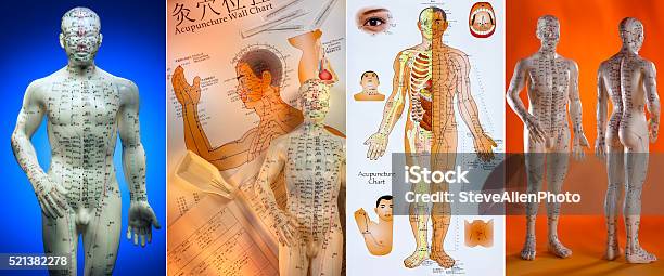 Acupuncture Chinese Medicine Stock Photo - Download Image Now - Acupuncture, The Human Body, Chart