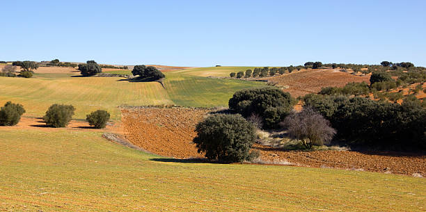 istock Panoramic of the fields in Castile-La Mancha, Spain.. 521382547