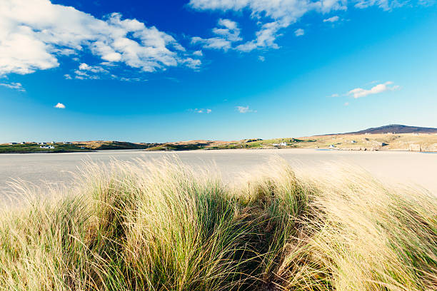 istock Marram Grass, Sand, Sky, Lewis and Harris, Scotland 521382827